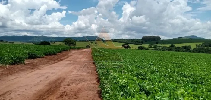 Fazenda - Itamogi - Itamogi