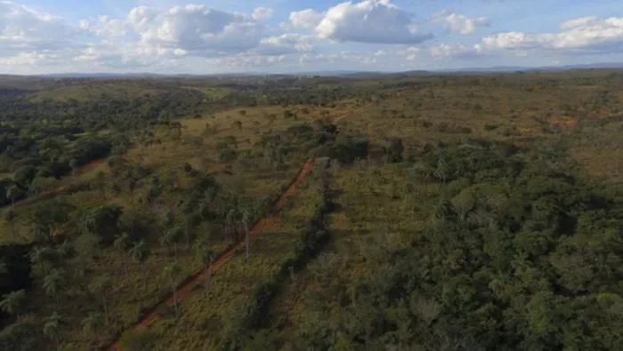 Linda Fazendinha de 15 hectares, Jaboticatubas (Temos varias opções)