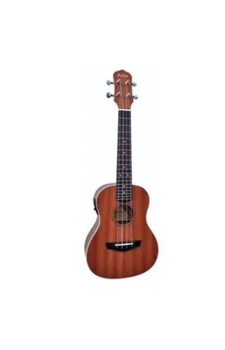 Ukulele mais afinador e capa