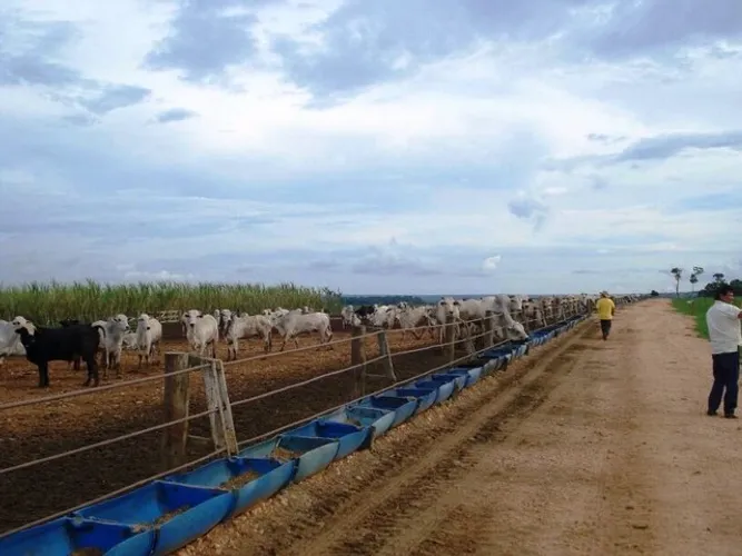 Valor:380.000.000 Fazenda de 21.102 hectares em Diamantino-MT