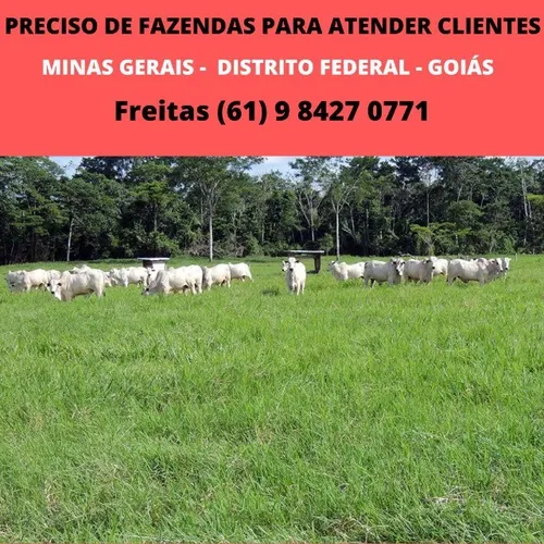Preciso de fazendas para atender clientes