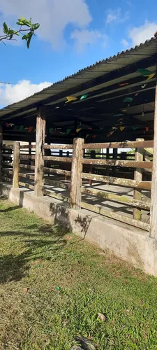 Vendo excelente fazenda em Nazaré das farinha
