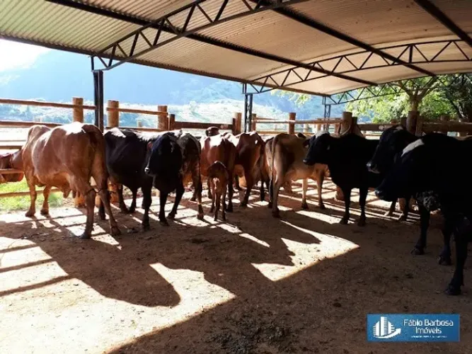 Oportunidade -Fazenda em Mutum 140,82 hectares - Minas Gerais