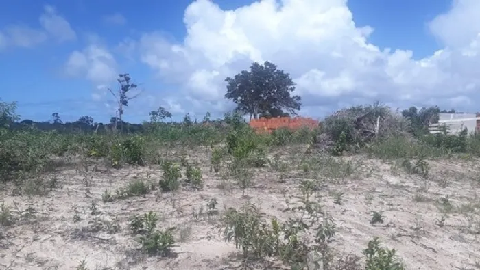 Vendo 2 Lotes em Arembepe (II)