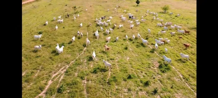 300 alqueires, porteira fechada no Pará R$25 milhões de reais