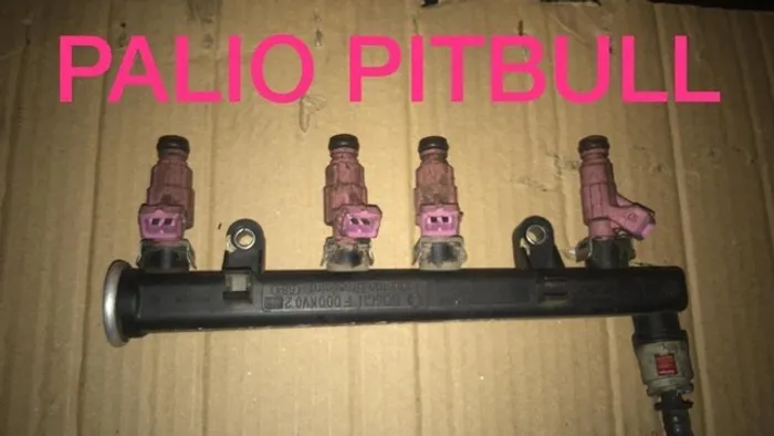 Flauta com bicos palio pitbull 