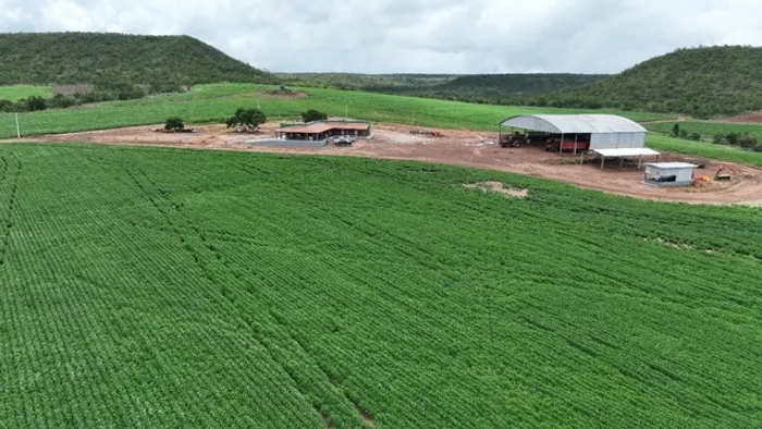 Fazenda de 2.177 hectares Mato Grosso 