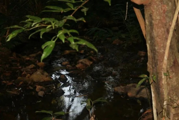Lindo terreno rural em Jaboticatubas de 10 ha (Temos mais opções)