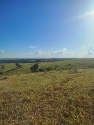 313 alqueires em caiapónia