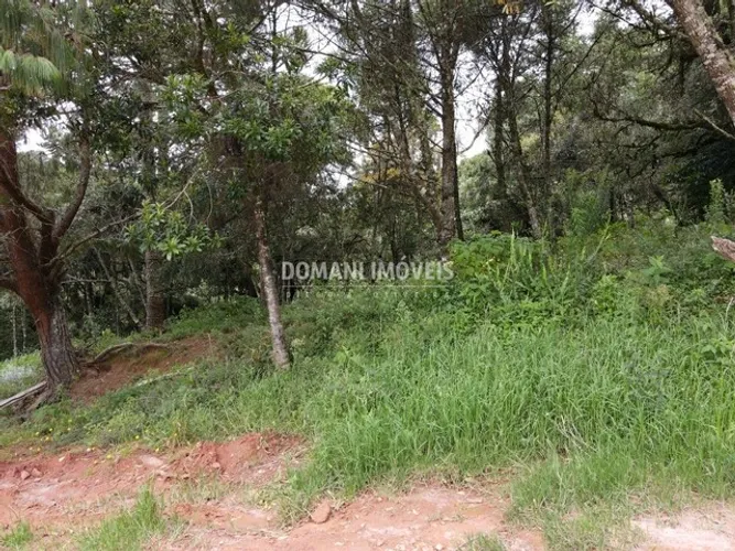 Terreno à Venda na Região de Capivari - Campos do Jordão/SP