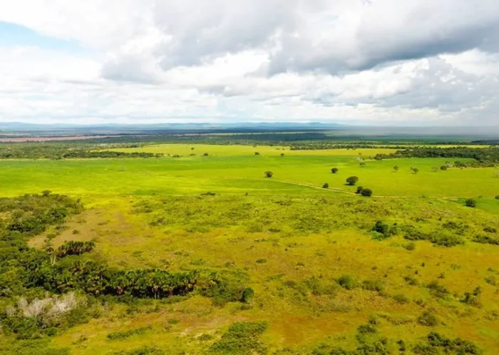 Fazenda em Dois Irmãos-Abreulandia. 