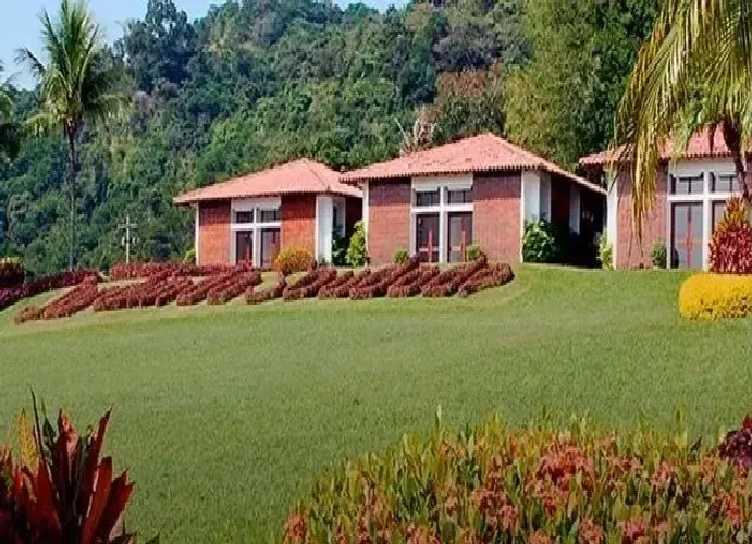 Jazigo Perpétuo ( Jardim da Saudade Lote 1 Paciência )