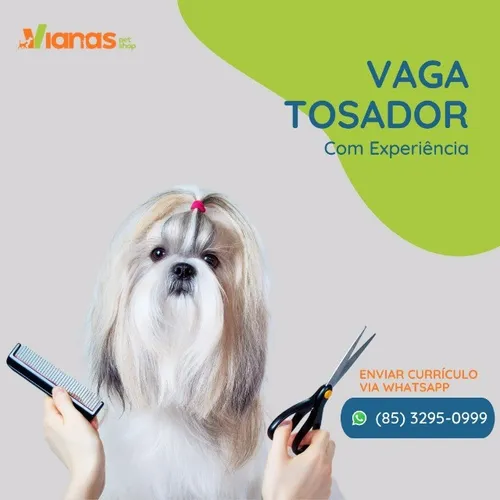 Tosador (com experiência) (Eusébio/Fortaleza)