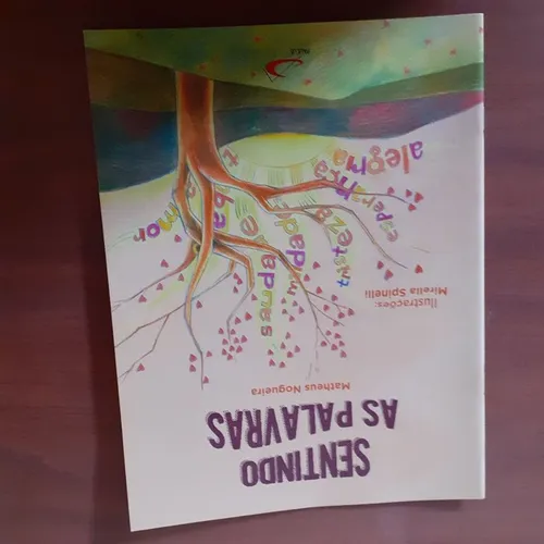 Livro paradidático - Sentindo as palavras