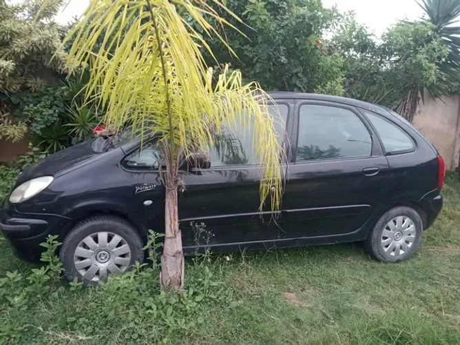 Citroen Xsara Picasso EXS 2.0 16v 2005/2006 gasolina