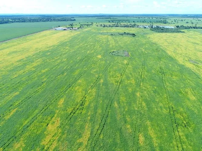 Fazenda de 501 alqueires em Peixe-TO