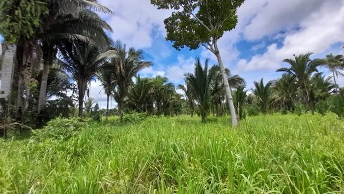 fazenda  alqueires por R$120 milhões documento em andamento