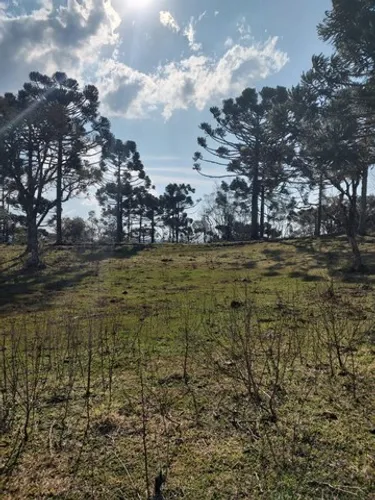 Chácara de 2 hectares à venda em Urubici-SC
