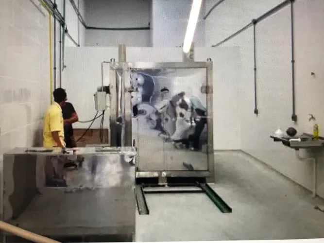 Máquina para fabricar torresmo