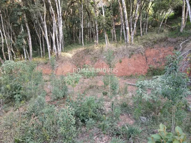 Lindo Terreno à Venda na Região do Alto do Capivari - Campos do Jordão/SP