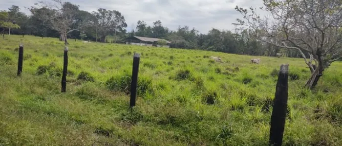 80 hectares pronta por R$1.5 milhões sentido Santa Maria do Pará
