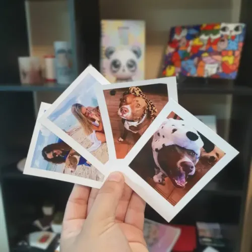 Fotos Polaroid impressão revelação 