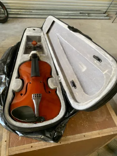 Violino