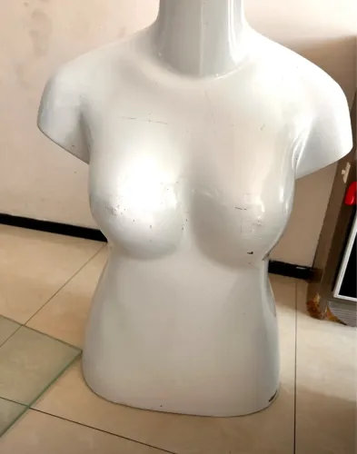 Manequim de busto Feminino