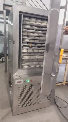 Ultracongelador para Batata Frita - Produção Rápida e Padronizada