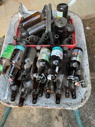 Cerveja artesanal, kombucha