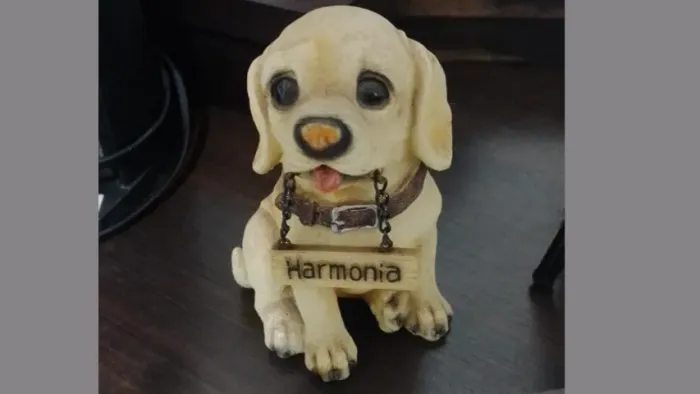 ENFEITE DE RESINA- VINTAGE- CACHORRINHO COM MENSAGEM HARMONIA