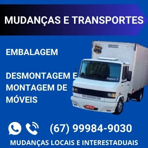 Transporte e mudanças em geral