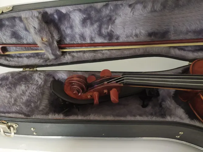 Violino