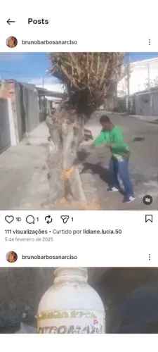Bruno jardinagem