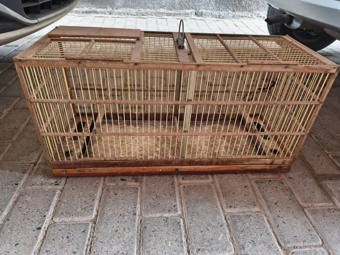 Duas Gaiola para pássaros
