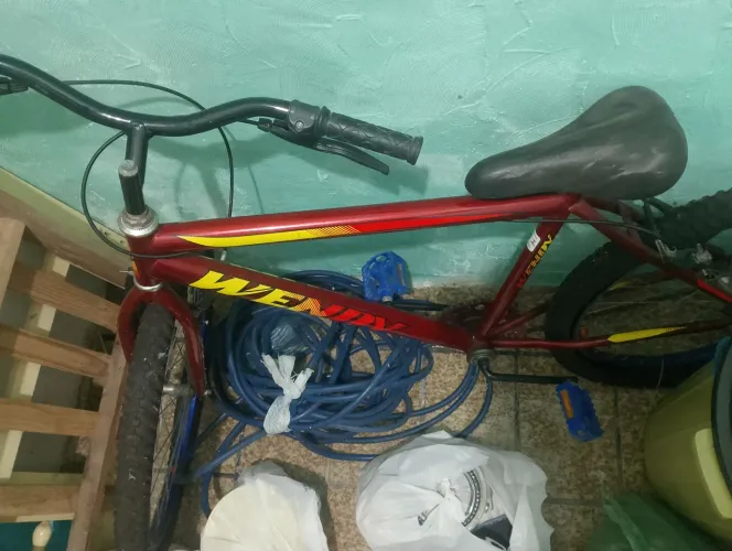 Bicicleta