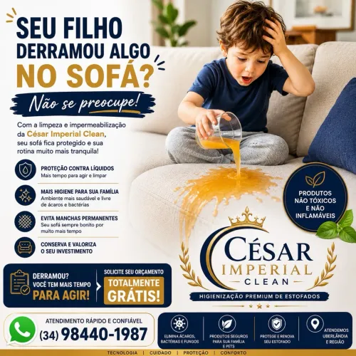 Limpeza e higienização de estofados em geral 