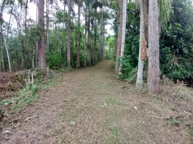 Lindo Sitio 10 Hectares C/om Escritura Publica em Juquiá SP 4Km do Centro, Água da serra.
