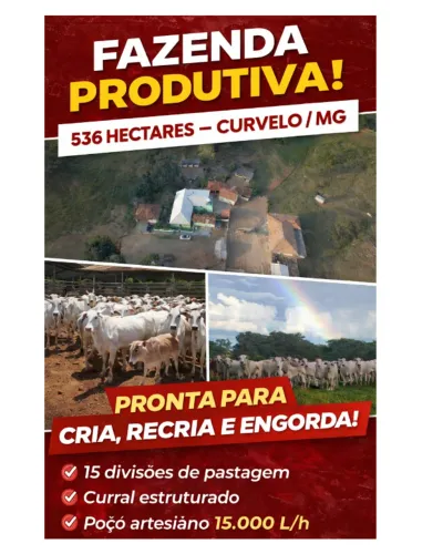 Fazenda à Venda em Curvelo MG com 536 Hectares Produtivos, formada Agricultura e Pecuária