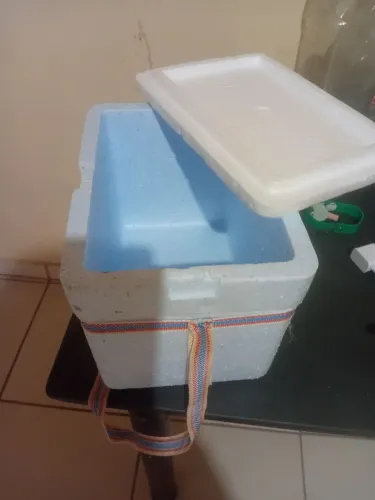 Caixa de isopor pequena