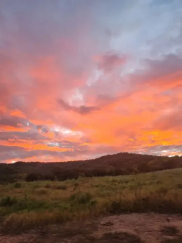 Fazenda a venda em Riachão das Neves Ba