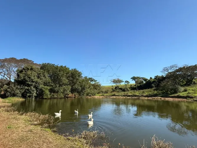 Sítio à venda - Bariri -SP
