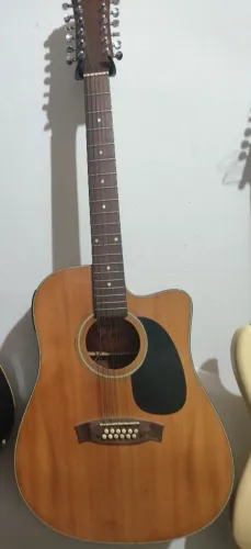 Viola 12 cordas Tagima