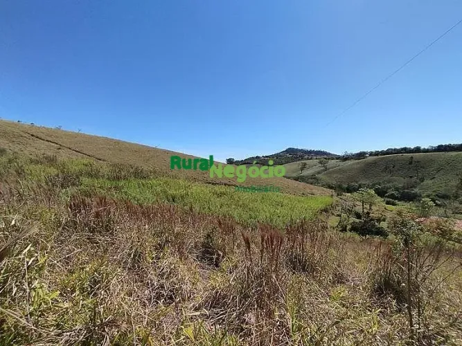 CHÁCARA SEM BENFEITORIAS E FÁCIL ACESSO EM CUNHA-SP