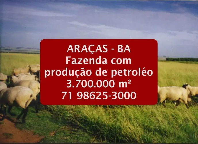 Fazenda em Araçás-BA, 370 hectares e produção de petróleo!