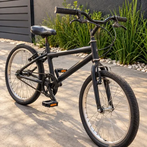 Bicicleta 20