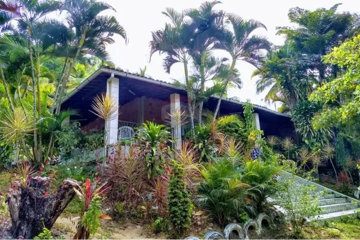 Sítio à venda com 28 mil m² - Coqueiros Seco - Alagoas