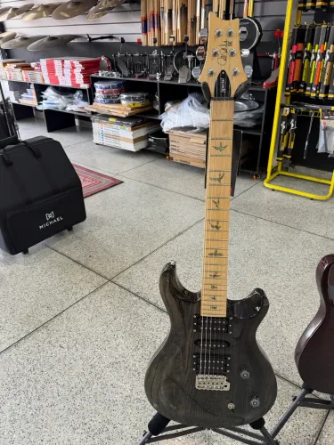 2 Guitarras / Fender e PSR