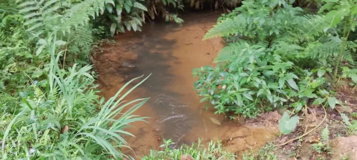 VENDA OU TROCA, TERRENO PRA CHÁCARA 
