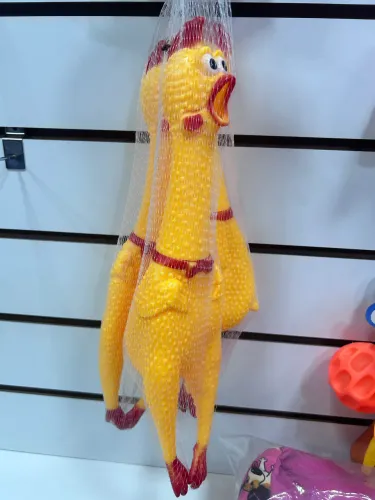 Galinha de barracha